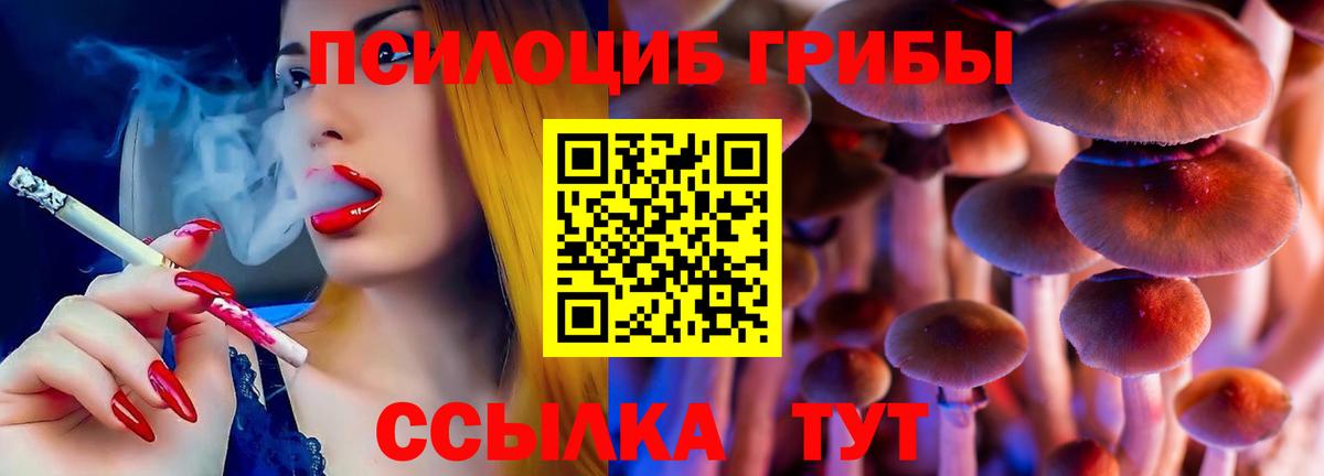 Галлюциногенные грибы мицелий  где найти   Вход с VPN  Щёлково  Псилоцибиновые грибы MAGIC MUSHROOMS 